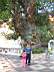 Wat Doi Suthep 056.JPG